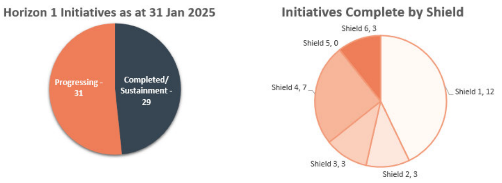 Excerpt from the FOI brief showing Horizon 1 initiative status